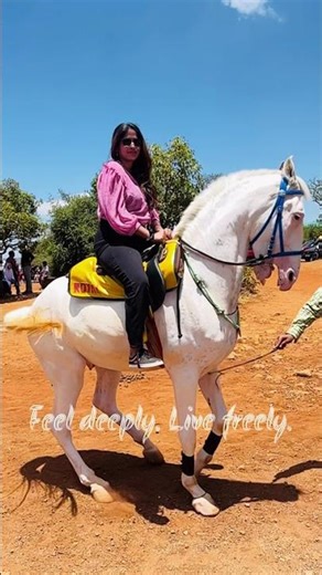 Trust the fall, feel the flight.🐎 #shortsviral