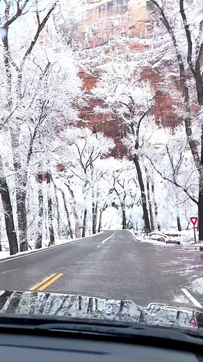 390K views · 3.1K reactions | Zion National Park Drive In Utah, USA  @bobyism / IG | Best Destinations To Travel | Facebook