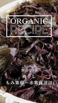 梅干しの作り方 もみ紫蘇～赤紫蘇漬け【旬の手仕事・オーガニックレシピ 0099】 #オーガニックプレス #オーガニックレシピ #梅仕事 #レシピ #shorts