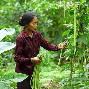 Mẹ lấy đậu đũa xào với lá lốt cực ngon, làm thêm món canh chua chân giò với lá sấu non. Ở nhà ăn toàn các món ngon mẹ nấu thích thật. #ẨmThựcMẹLàm | Ẩm Thực Mẹ Làm