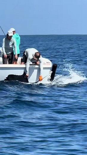 Sailfish Fly Rod = Pure Chaos ~ Heather goes head to head with a sa | Lords Of The Fly