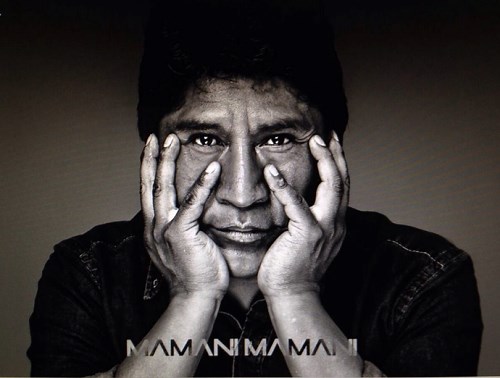 Roberto Mamani Mamani is the Most Famous Bolivian Artist Today