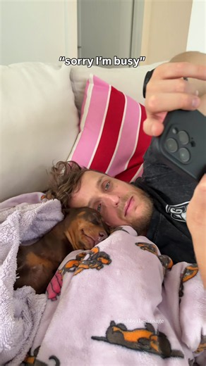 sorry I can’t make it🙂‍↕️ #dachshund #minidachshund #sausagedog #wienerdog #doxie dachshund miniature, my pets, small dog breeds and puppies, having a dachshund, Pet Care, homegoods dachshund, pet content, AdorablePets, mini dachsund, Funny pets videos, dachshunds puppies, cute dogs on TikTok, Good pets, CutePets, What Da Dog Doin, dachshundpuppies, funny pet videos TikTok, cute pets on TikTok, dachshund personality, WhatTheDogDoing, CutePetVideos, pets TikTok, new pets, a mini dachshund, Funny