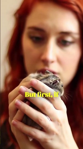 Why Do Hamsters Make Squeaky Sounds? 🔊🐭 | Cute Pet Facts! #dreamypaws #pets #hamster #yourpet