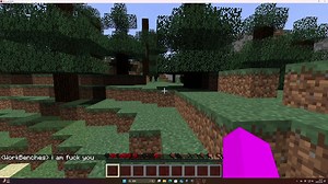 Minecraft @303 事件以及实体