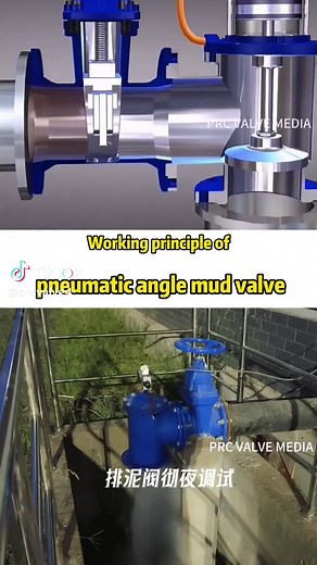 PRC Valve Qi on TikTok