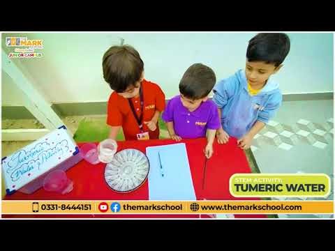 STEM Activity: Turmeric Water Magic in Action! | The MARK School's Students.
