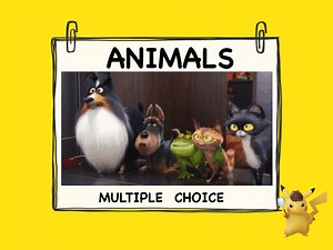 Animals - Multiple Choice
