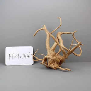 Bois d'araignée, bois flotté, poisson, reptile pour aquarium, grande taille XL, branche extra naturelle, racine, décoration d'intérieur, WYSIWYG : 14 x 9 po. x 14,5 po. - Etsy France