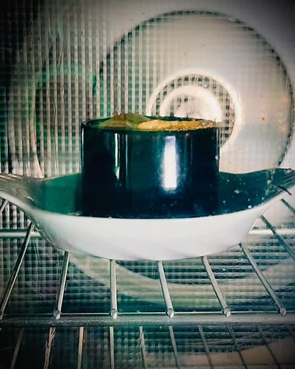 23 reactions · 3 comments | Soufflé à la Chartreuse verte. | Le Don Camillo | Facebook