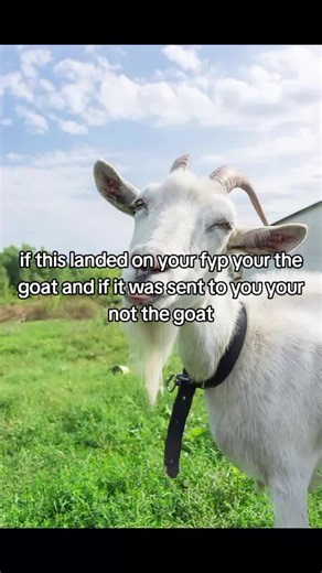 Why You're the GOAT If This Found You