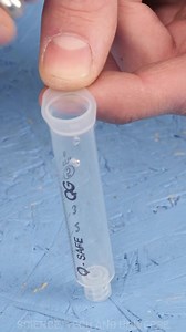 1.6M views · 9.6K reactions | Quick and Easy DIY Alarm! | Science, Tech and Universe | Facebook