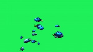 Animation blue cartoon fish on green background.