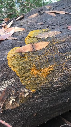 7.8K views · 177 reactions | Happy Mother’s Day from this compilation...