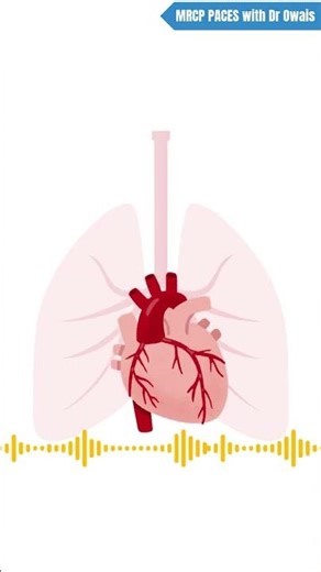 DONT MISS THIS MURMUR IN YOUR EXAM ! #MRCP #PACES #CARDIOLOGY #MURMUR