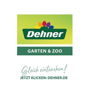 Fische im Aquarium beobachten kann entspannen. 🐟🐠Wir helfen Dir bei der Einrichtung Deines Aquariums und bei der Auswahl der Fische. 👉https://www.dehner.de/ratgeber/zoo-tipps/ratgeber-aquarium/ratgeber-aquarium-typ/?campaign=facebook/aquarium | Dehner