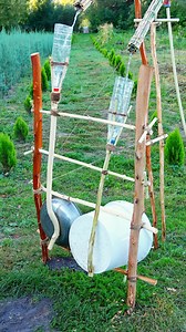 4.4M views · 21K reactions | The Ultimate Bird & Mole Repeller for Your Garden #diy #tips #lifehacks #outdoors #garden | Crafty Fixer | Facebook