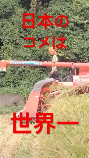 日本のコメは世界一