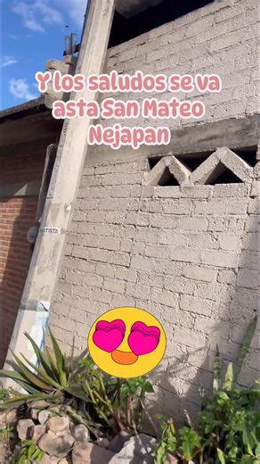 😎🤠 | San Miguel ahuehuetitlan silac. OAX.