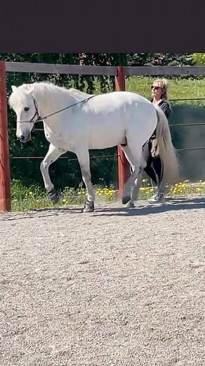 3K views · 681 reactions | Here’s one good reason: To help your older...