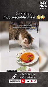 นี่แค่ตำไทยนะ ถ้าน้องเจอตำปูปลาร้าล่ะก็…😁🤣