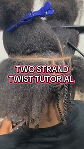 Two strand twist tutorial #twostrandtwist #twostrandtwists #fyp #twostrands #twostrandtwistlocs | Danielle E. Brown