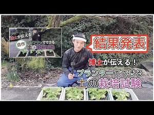 Soil preparation: Soil, fertilizer, germination and growth