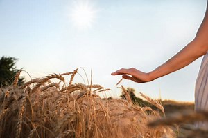The Farmer's Daughter
