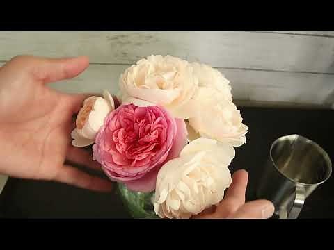 How to Make Rose Absolute. Two Ways to Extract Rose Oil. Make Rose Essential Oil and Rose Absolute