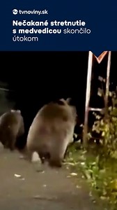 76K views · 442 reactions | Celú reportáž si môžete pozrieť tu: https://tvnoviny.sk/domace/clanok/990350-medvedica-na-liptove-krmila-mladata-v-zahrade-otec-napadnuteho-muza-priblizil-detaily-utoku | Televízne noviny TV Markíza | Facebook