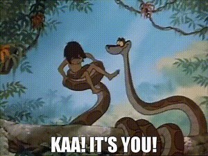 dceecbe4-b280-4945-9f8e-5e5bc3401558