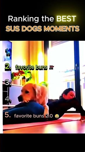 Ranking top 5 dogs sus moments 🤣🤣😂#trendingshorts #dog #love
