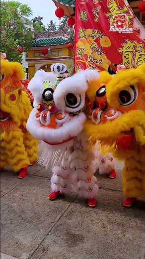 Múa Lân Đẹp Nhất 2025 - Lion Dance Vietnam