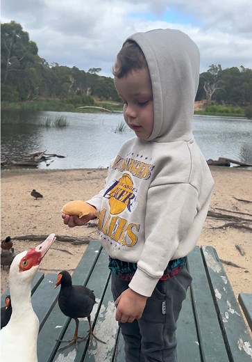 Funny Duck Moments That Will Make You Laugh