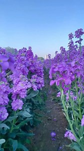 317K views · 5.9K reactions | #spring | Flowers and nature photos | Facebook