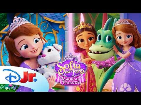 Sofia the First: Magical Friends Shorts Compilation! 👑✨ | Castle Pets, Zane & More | Disney Jr.