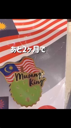 マレーシアボルネオ島サバ州政府観光局【公式】 on Instagram: "@sabahtourismjpn ☜マレーシアボルネオ島サバ州政府観光局の公式アカウントです！🦧🇲🇾 ・サバ州の観光に役立つ情報 ・おすすめスポット ・ボルネオ島サバ州の魅力 を発信しています #海外旅行 #東南アジア旅行 #マレーシア旅行 #ボルネオ島 #サバ州 #コタキナバル #コタキナバル旅行"