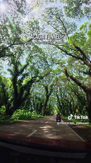 Must-Try Experiences in Puerto Princesa City, Palawan
