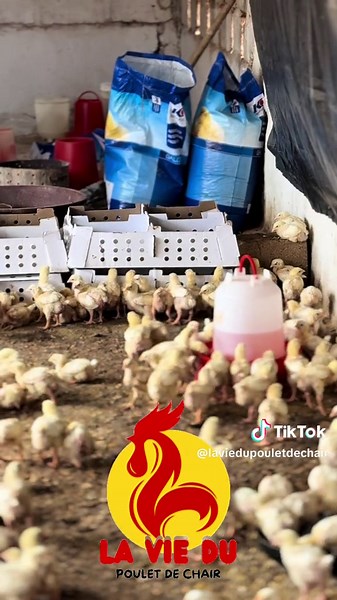 Comment faire la vaccination ?