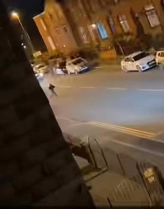 118K views · 254 reactions | Drake street Rochdale. Don’t know what’s happening here. | AUTO SHOP | Facebook