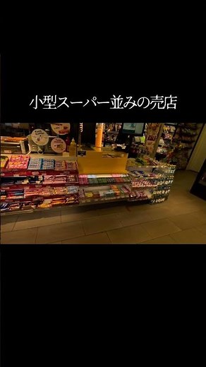 【エストニア】タリンのバスターミナルが超快適！Lux Express乗車レポ