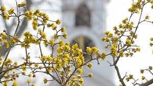 Cape Cod weather forecast: Unsettled skies may lead to sighs