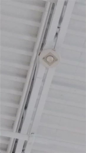 Edward's Genesis Ceiling Mount Horn Strobe