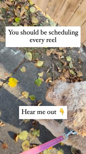 You read that right 👇 We actually schedule EVERY SINGLE REEL, CAROUSEL, and POST on our Instagram. ⠀ Even our most viral ones were scheduled. ⠀ But before we dive in— ❤️ Comment “FREE” and we’ll send you our masterclass that breaks down how we went viral 160 times. ⠀ We’re both moms. We’ve got demanding 9–5 jobs. And we don’t always have time to hop on Instagram in the middle of back-to-back meetings. ⠀ So instead? We schedule everything. Reels? Scheduled directly in the Instagram app. Carousel