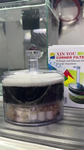 Aquarium Corner Filter para sa Perfect na Fish Tank