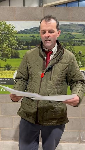 Shrewsbury Auction Centre Market Report Tuesday 11th November 2025 | Halls Livestock and Machinery Sales