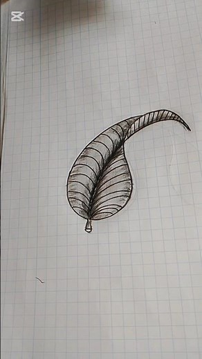 **Simple & Direct:** How to Draw a Realistic Leaf with Pencil | Step-by-Step Tutorial #drawing #art