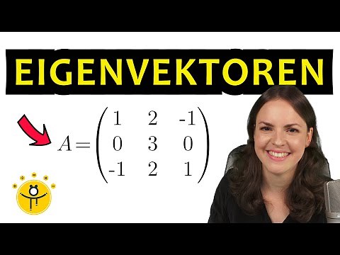 Eigenwerte und Eigenvektoren berechnen 3x3 Matrix – charakteristisches Polynom