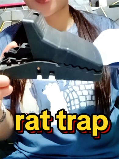 Effective Rat and Mouse Trap Solutions