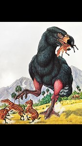 5.7K views · 74 reactions | Eocene landscape; Diatryma (Gastornis)...